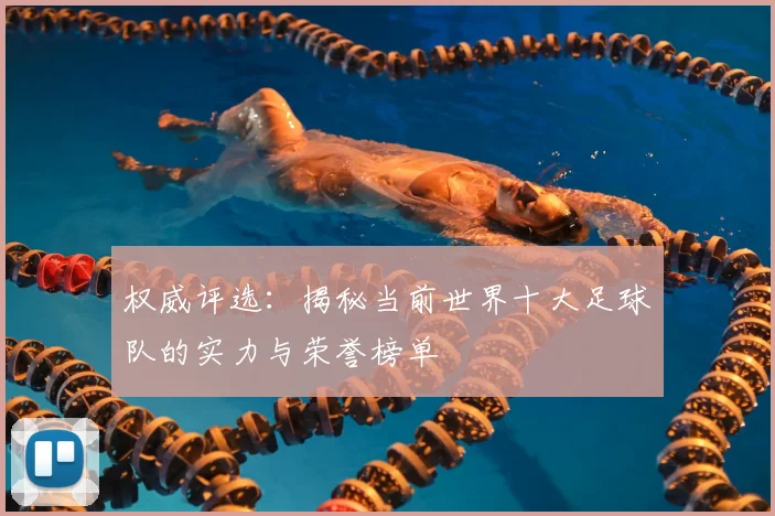 权威评选:揭秘当前世界十大足球队的实力与荣誉榜单